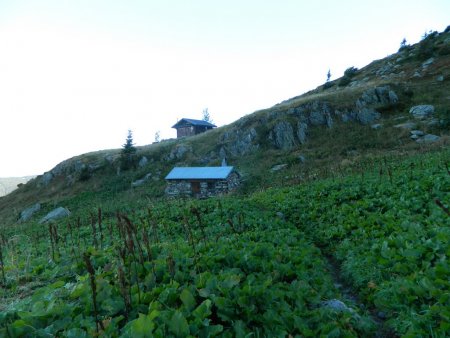 Le Premier Chalet de la Grande Valloire et la cabane privée...et soi-disant piègée !