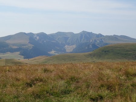 Puy Loup