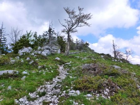 La descente