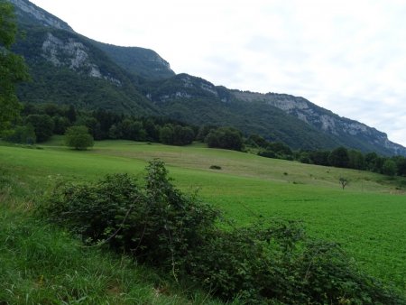 La falaise du Malpassant