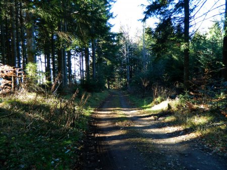 Le «Chemin de Ronde».