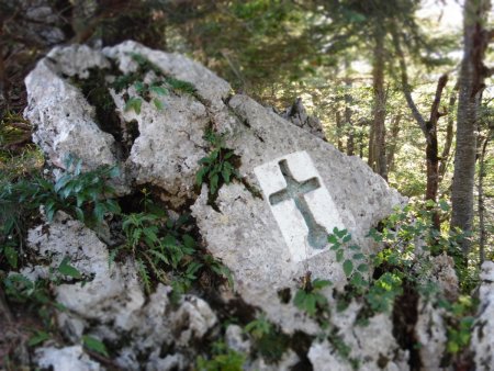 Marquage forestier au Collet