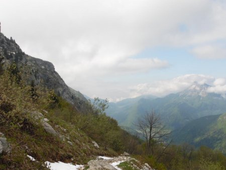 A la sortie du sous-bois