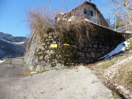 Le début du chemin