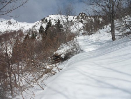 Le chemin à suivre