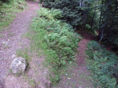 C’est parti pour une longue traversée