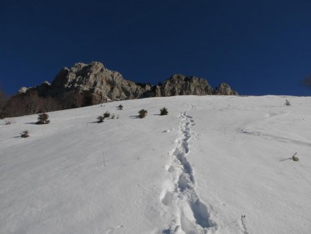 La descente, c’est tout droit