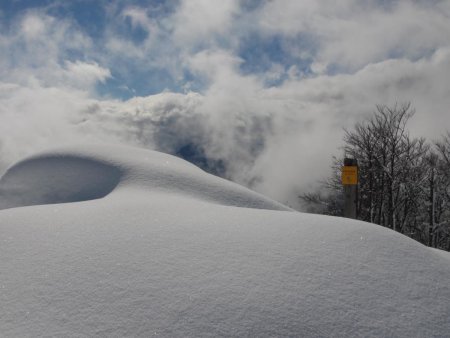 Sommet, la vue sur le Vercors est bouchée