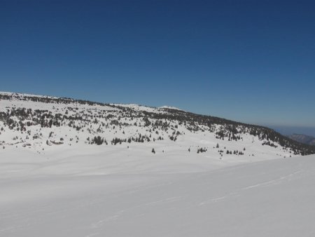 Vue sur la combe