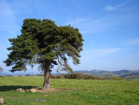 Fontanès.