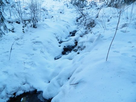 Le Gier que je traverse à gué.