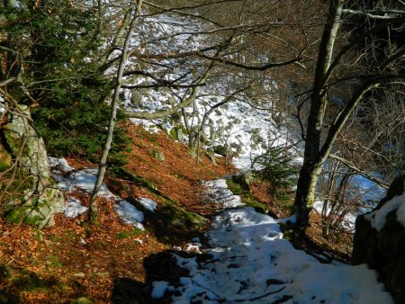 Descente vers le Gier...