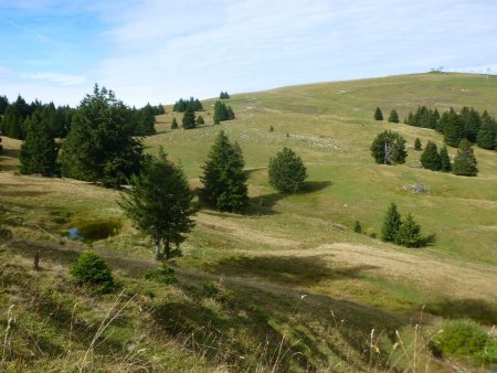 Descente par la piste