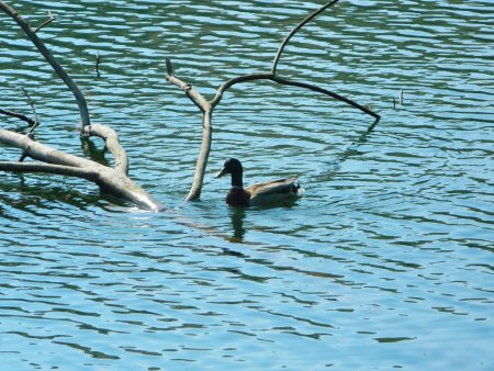 Lac de retenue de Soulages.