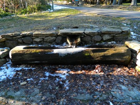 A quelques kilomètres, au Balayes : un bachat.