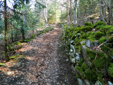 Chemin avec murets de pierres.