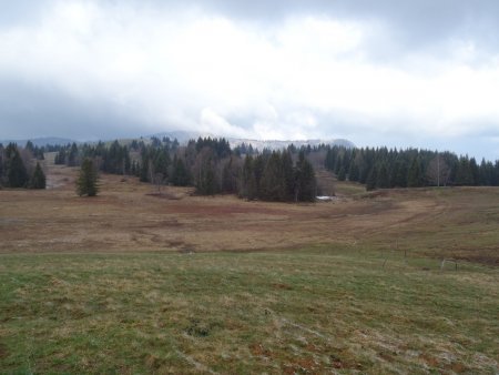 Tourbière des Creusates