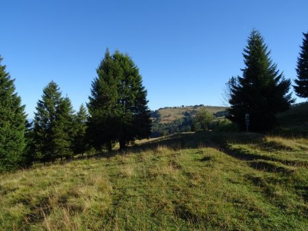 Tourbière des Creusates