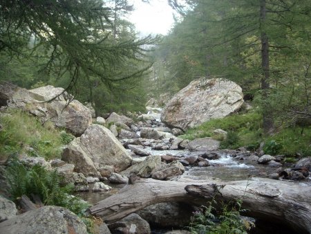 Rivière dans le vallon de Peïrastrèche