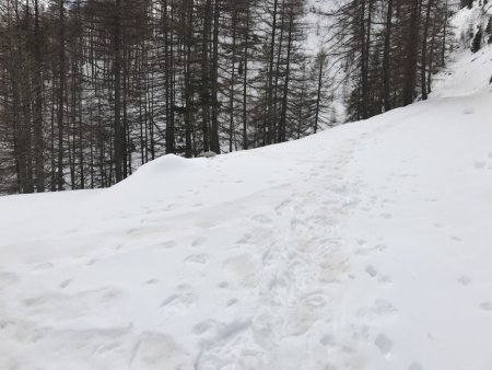 Poursuite de la piste