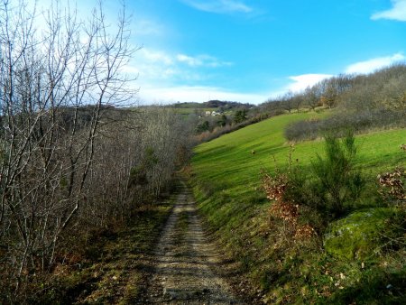 Entre bois et prairies. En face, le Barmont.