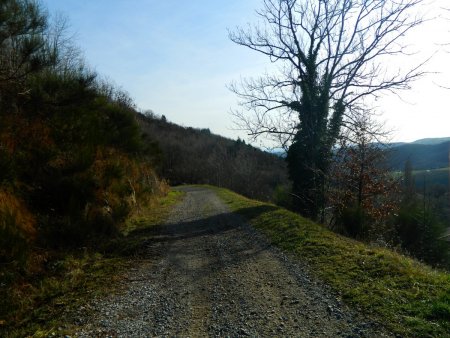 Descente dans le val du Garon.