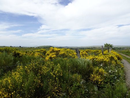 Sur le Chemin des Granges