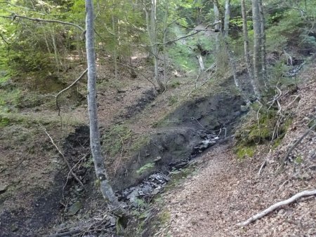 Dans certains passages l’utilité des câbles dépendra de ce que le ruisseau à déposé ou emporté.