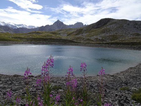 Lac Merlet Inférieur (2391m). Au fond Aiguille du Râteau  (2890m) et à droite Aiguille de Chanrossa (3045m)