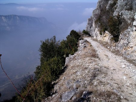 Sentier aérien