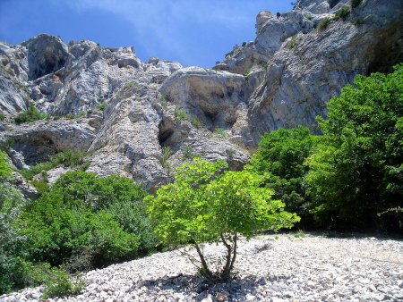 Sous les falaises ouest du Dôme du Glandasse