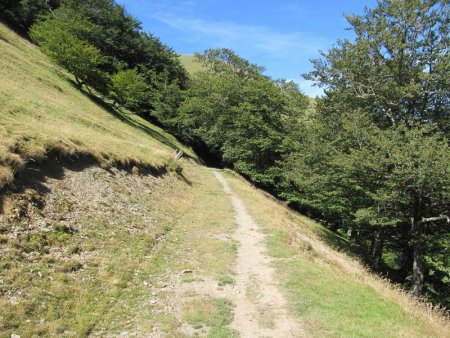 A présent, petite piste vers les estives de l’Adi