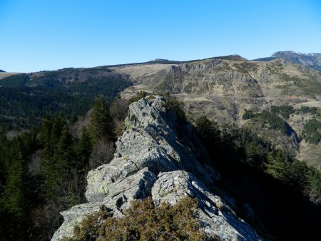 Arête dentelée.