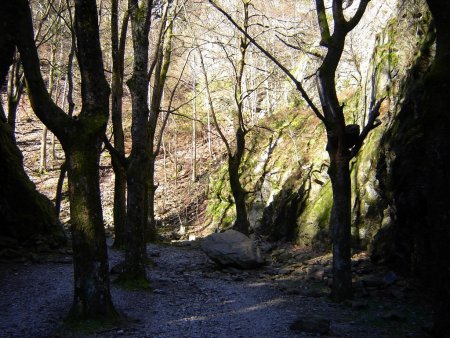 Dans les gorges du Furan.