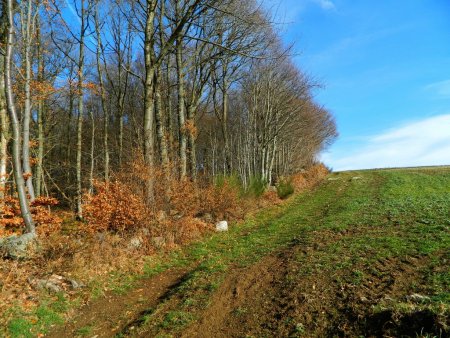 Le Crêt Malherbe.