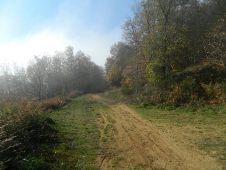 Sur la grande piste d’exploitation.