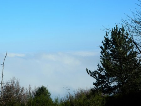 La mer de nuages.