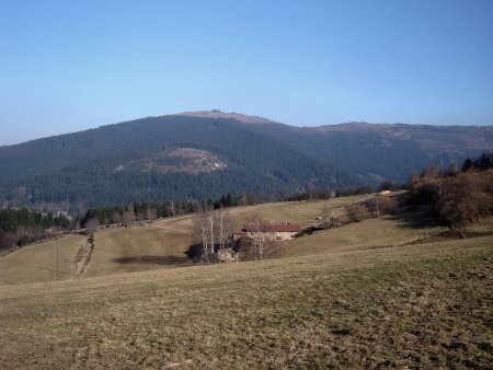 Le Chaux de Toureyre et son sommet rasé par la tempête de 1999.