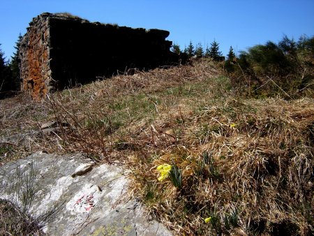 Ruines de la ferme de Taupernas.