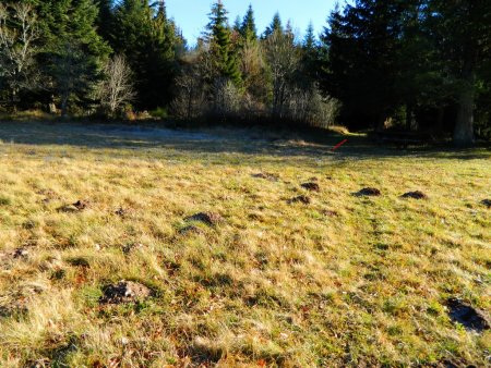 La Clairière des Copains.