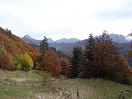 Arrivée dans l’alpage de la Buffaz