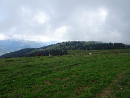 Au fond à droite, le Crêt de l’Aigle