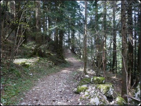 Beau chemin vers l’Egalen.