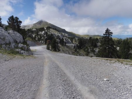 Dans la descente.