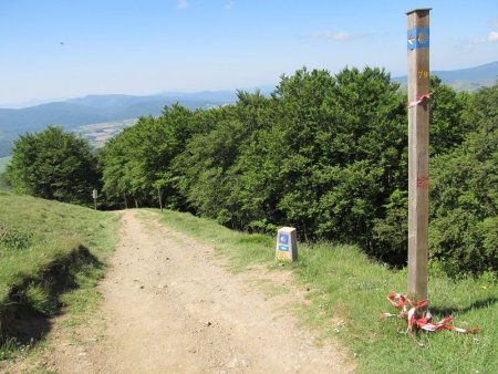 Puis on rejoindra la piste de descente du chemin de saint-jacques