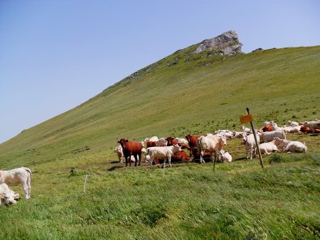 Le Sommet de L’Aup du Col Foueron