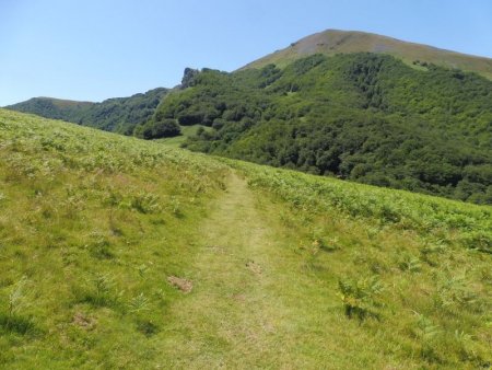 Traversée herbeuse, quelques fougères de part et d’autres.