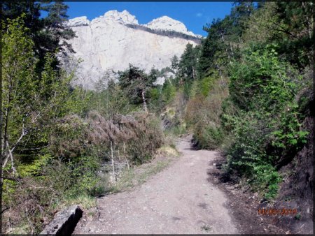 Sur le chemin longeant le Torrent de Riffol.