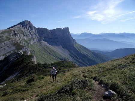 Derrière, la Grande Moucherolle