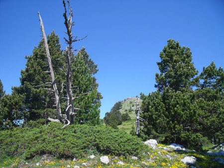 Au nord, la cime de la Montagne de Peyre Rouge